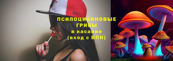тгк Бородино