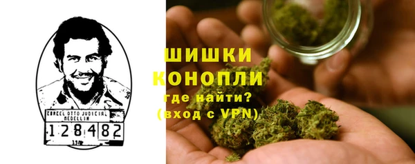 тгк Бородино