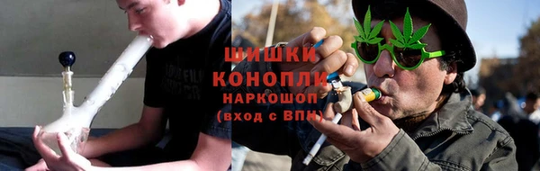 тгк Бородино