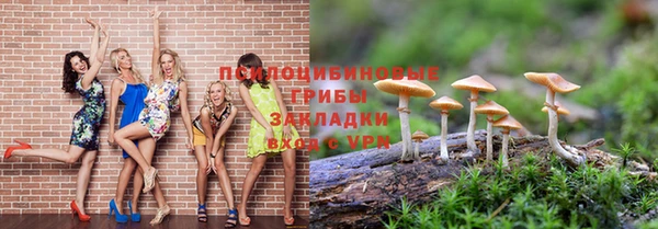 тгк Бородино