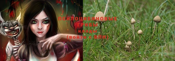ГАЛЛЮЦИНОГЕННЫЕ ГРИБЫ Бугульма