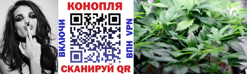 Бошки Шишки Amnesia Тамбов
